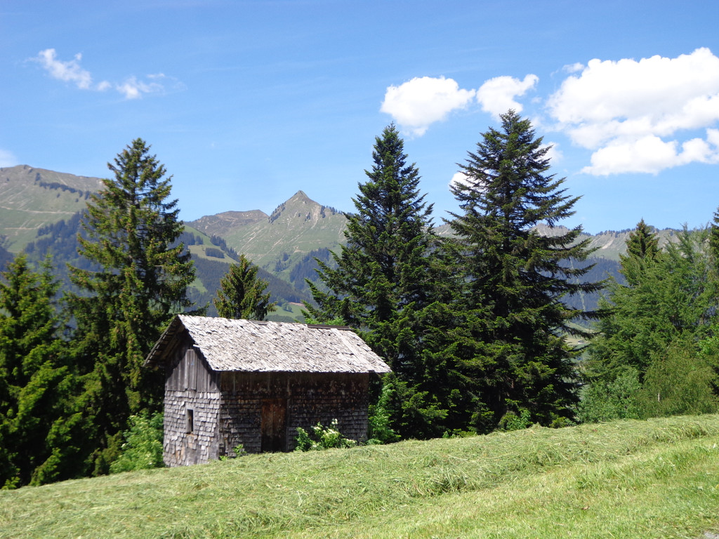 K__skn__pflepartie Berghof Ludescherberg 7_6_2014 070.JPG