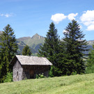 K__skn__pflepartie Berghof Ludescherberg 7_6_2014 070.JPG