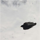 20100417_kanisfluh_171_luc.JPG