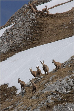 20100417_kanisfluh_053_luc.JPG