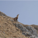 20100417_kanisfluh_100_luc.JPG