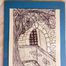 DSCN2548komp.jpg