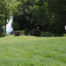 DSC_0268.JPG