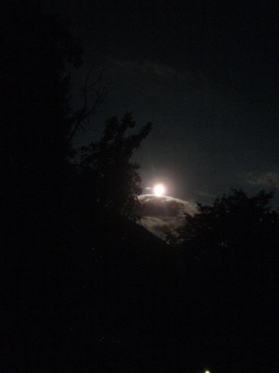 PICT0029.JPG