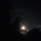 PICT0029.JPG