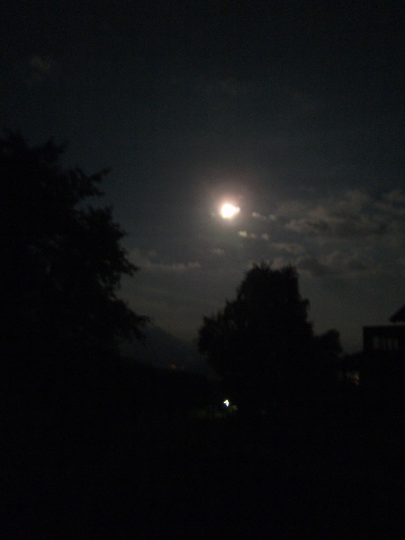 PICT0030.JPG