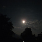 PICT0030.JPG