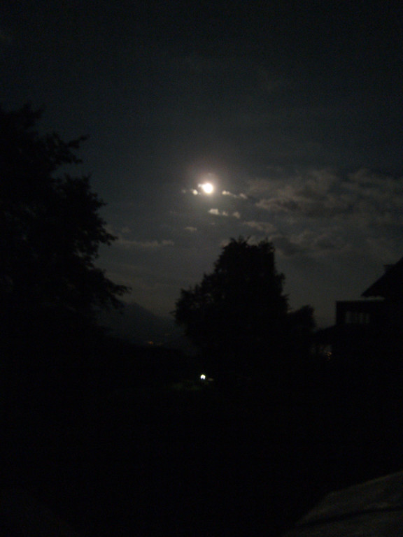 PICT0031.JPG