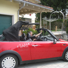 15 04 10_Heidi Fink_0744.JPG