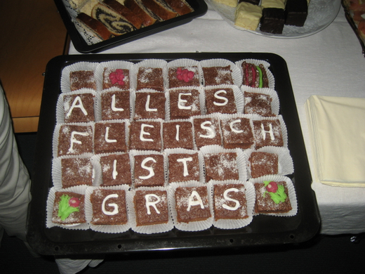 15 04 10_Heidi Fink_0770.JPG