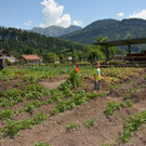 garten1a.jpg