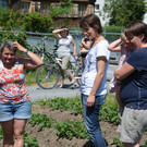garten3.jpg