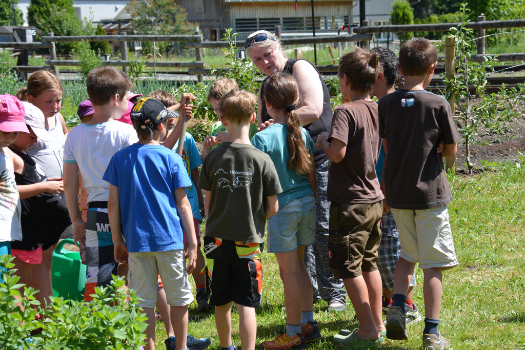 garten9.jpg