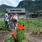 garten12.jpg