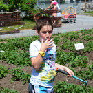 garten15.jpg