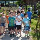 garten17.jpg
