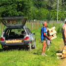 BK_Erdbeerpflu__ckfeld Meiningen 2014 10.JPG