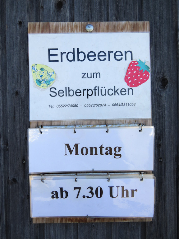 BK_Erdbeerpflu__ckfeld Meiningen 2014 20.jpg