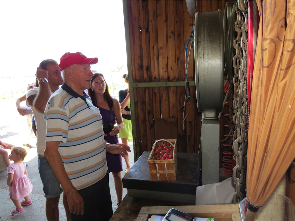 BK_Erdbeerpflu__ckfeld Meiningen 2014 21.JPG