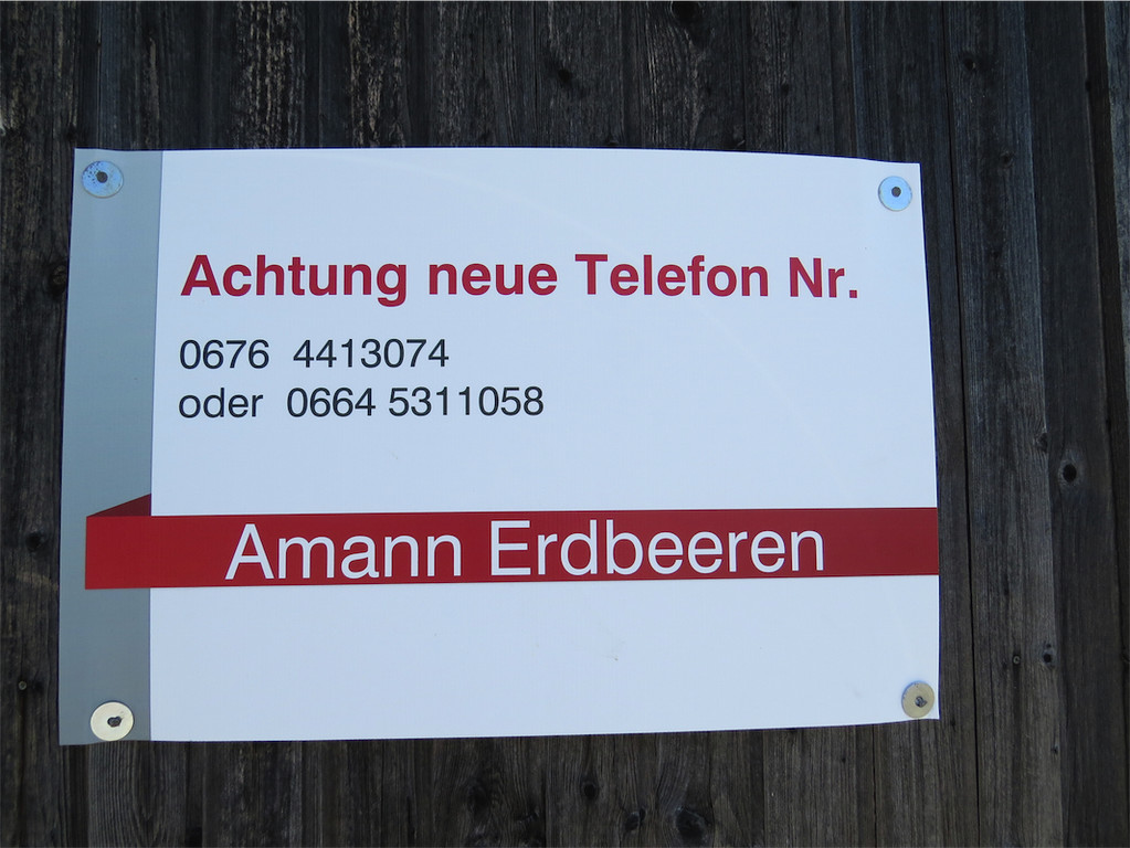 BK_Erdbeerpflu__ckfeld Meiningen 2014 22.JPG