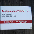 BK_Erdbeerpflu__ckfeld Meiningen 2014 22.JPG