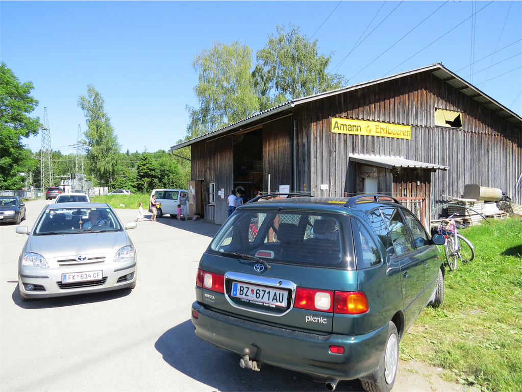 BK_Erdbeerpflu__ckfeld Meiningen 2014 23.JPG