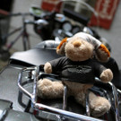 14062014harleyde05012aktivnews__590__23_.jpg