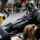 14062014harleyde05012aktivnews__590__64_.jpg