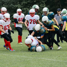 20140614_football_at05_09aktivnews_EIN_0835.jpg