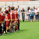 Sicherheit Ho__chst 14-06-2014 197.jpg