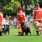 Sicherheit Ho__chst 14-06-2014 208.jpg