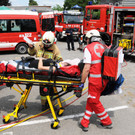Sicherheit Ho__chst 14-06-2014 368.jpg