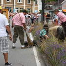 IMG_6080.JPG