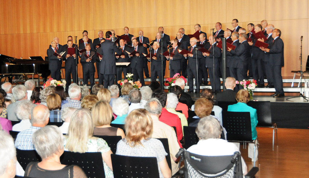 MGV-Matinee 15-06-2014 44.jpg
