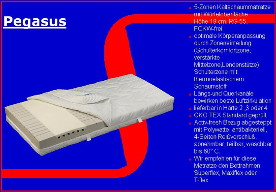 Pegasus.jpg