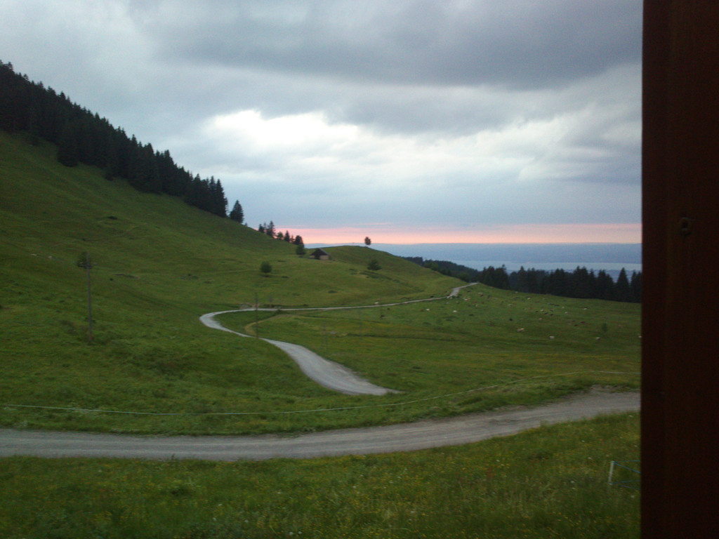 DSC_3148.jpg