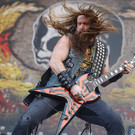 Nova Rock 2014: Black Label, Hatebreed und Walking Papers