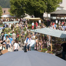 gartenmarkt alberschwende3.jpg