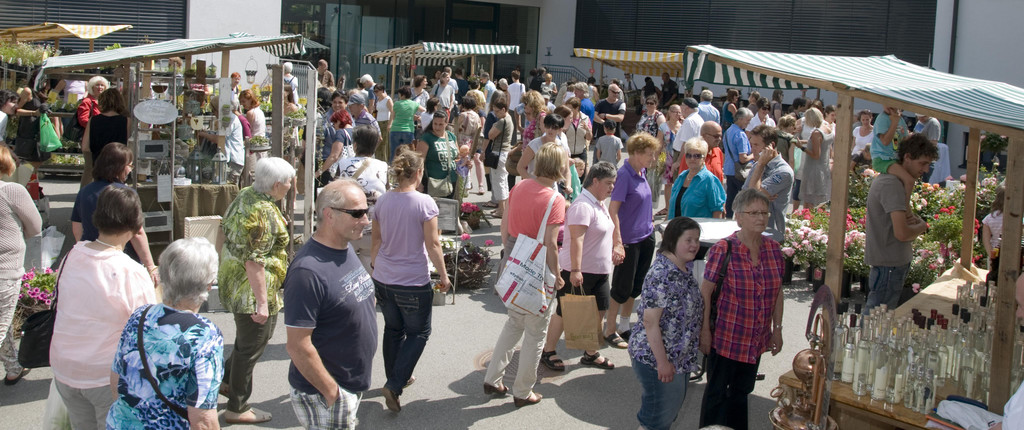 gartenmarkt alberschwende1.jpg