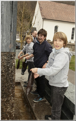 bild  314.jpg