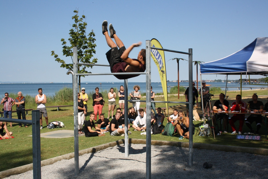 Street Workout __M Lochau 2014 _23_.JPG