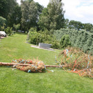 IMG_2762.jpg