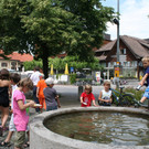 IMG_2640.jpg