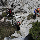 IBD0796-20140616.jpg