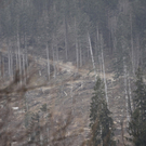 20042010bergkhkaktivnews_20_35_.jpg