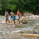 DSC06178 _Medium_.JPG