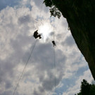 DSC06201 _Medium_.JPG