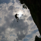 DSC06207 _Medium_.JPG