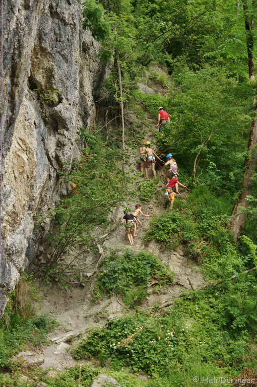 DSC06209 _Medium_.JPG