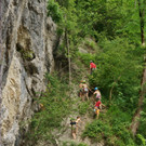 DSC06209 _Medium_.JPG
